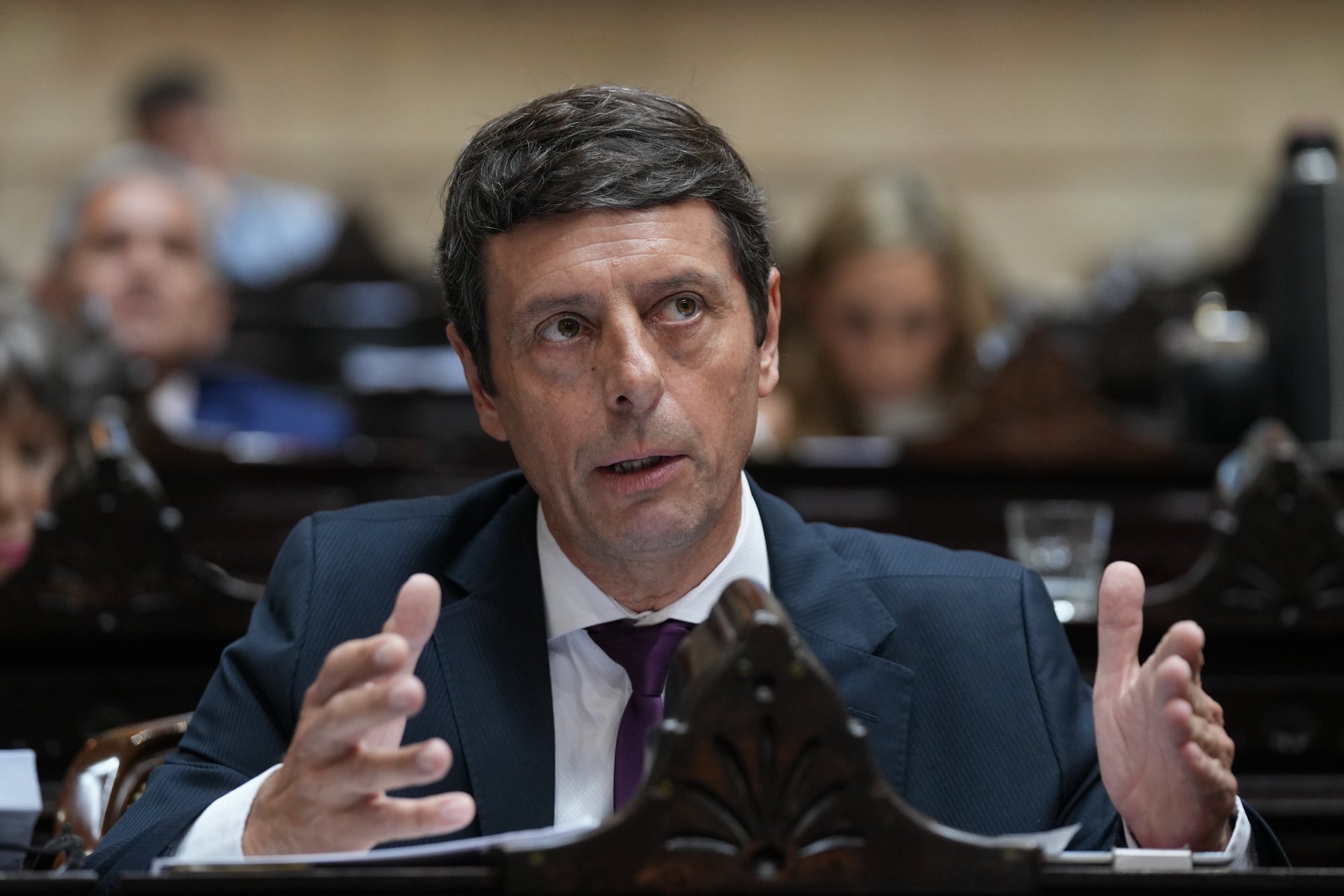 Rauschenberger advirtió que el presupuesto de Milei quita el subsidio para el gas en zonas frías