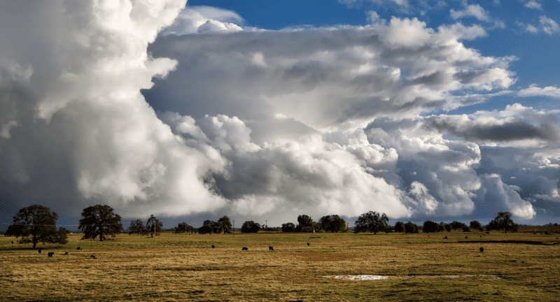 Se viene el viento y el agua: alerta por tormentas fuertes para La Pampa