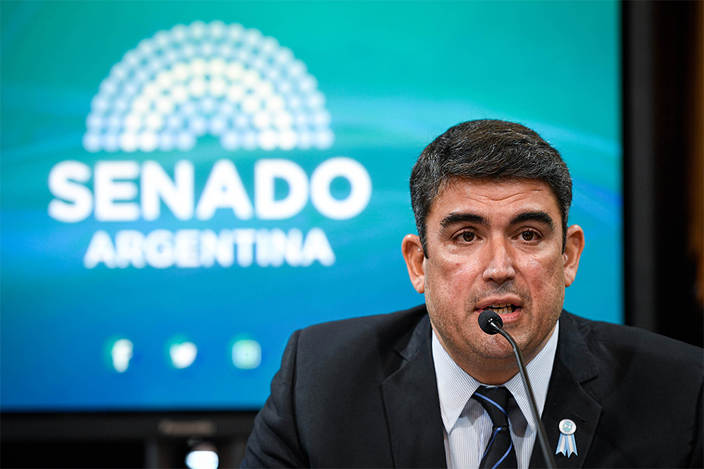 Bensusán: “no voy a apoyar la ley Bases porque perjudica a La Pampa y a todas las familias argentinas”