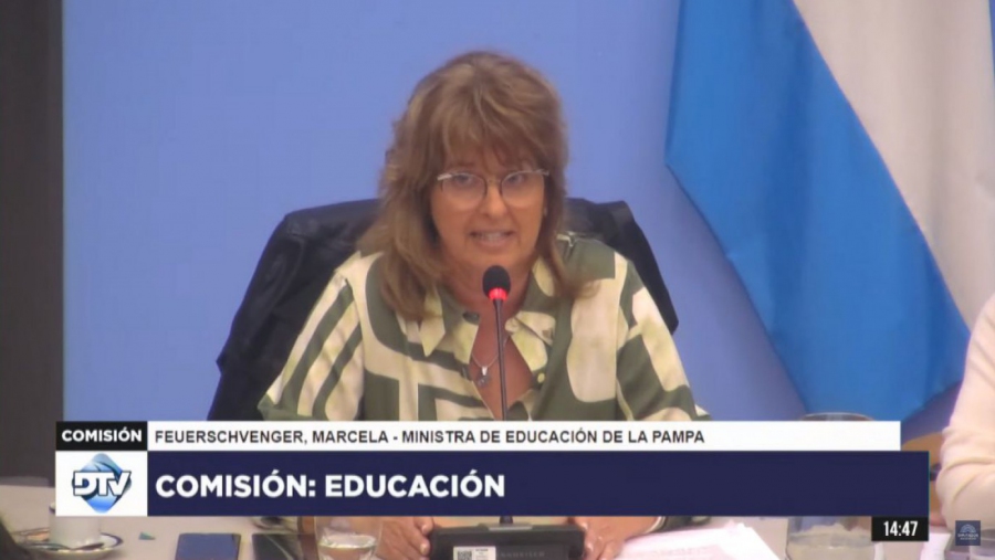 Feuerschvenger en el Congreso de la Nación: “el sistema educativo argentino está sufriendo un cruel desfinanciamiento”