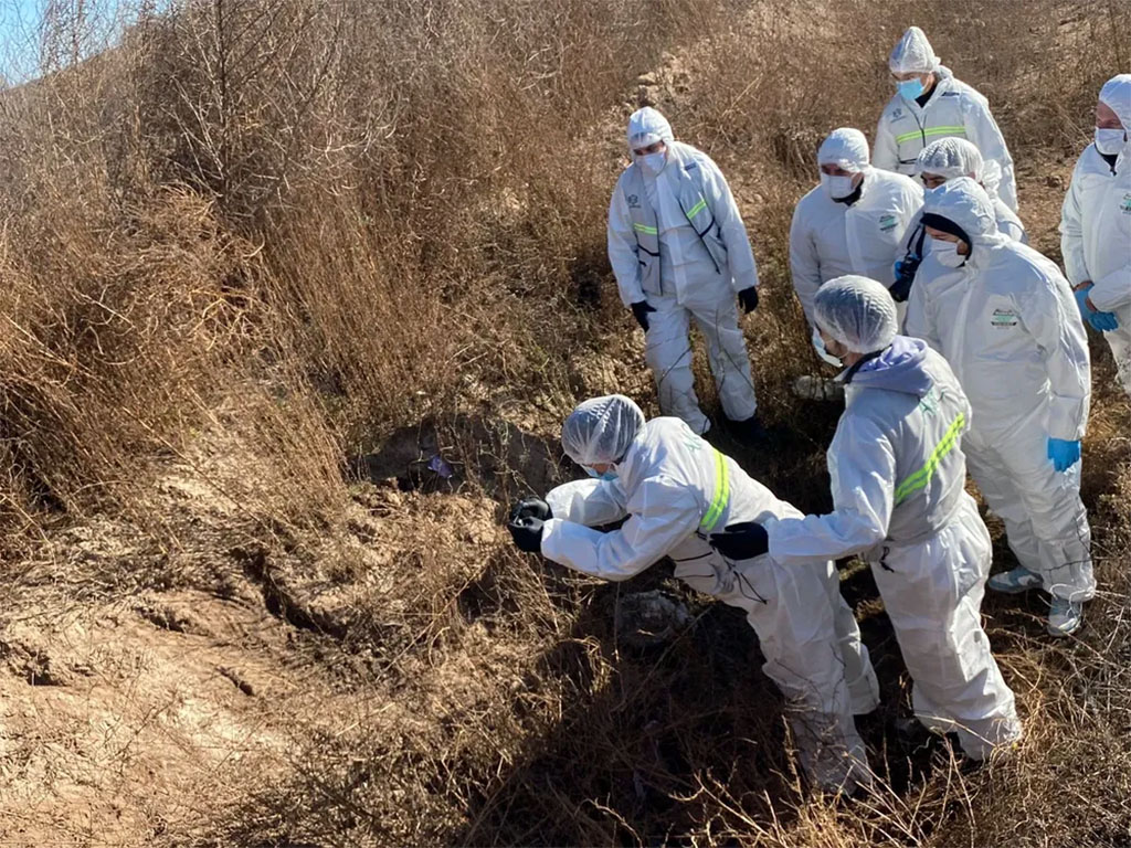 Conmoción en Monte Nievas: asesinaron a una mujer de 53 años y detuvieron a su pareja de 48