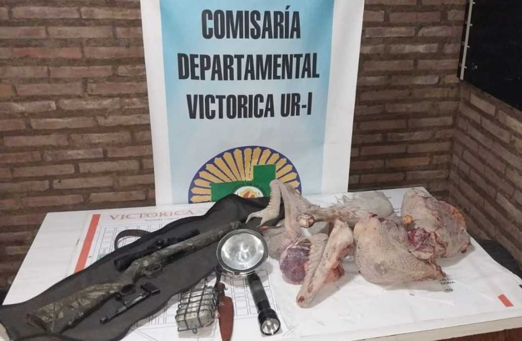 Furtivos: llevaban carne de ñandú en una camioneta y los agarró la policía