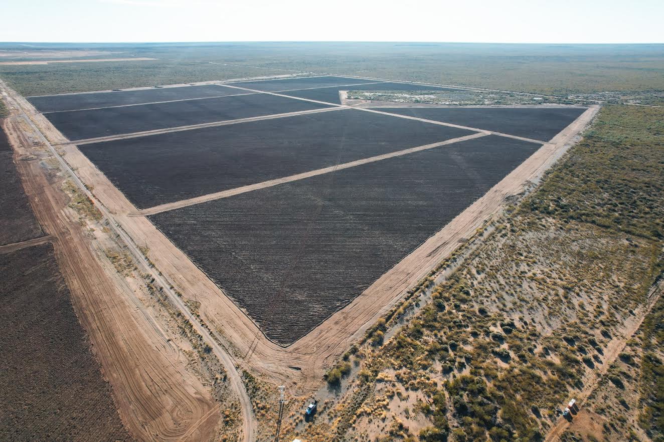 Casa de Piedra: avanza nuevo proyecto de producción de vides y pistachos