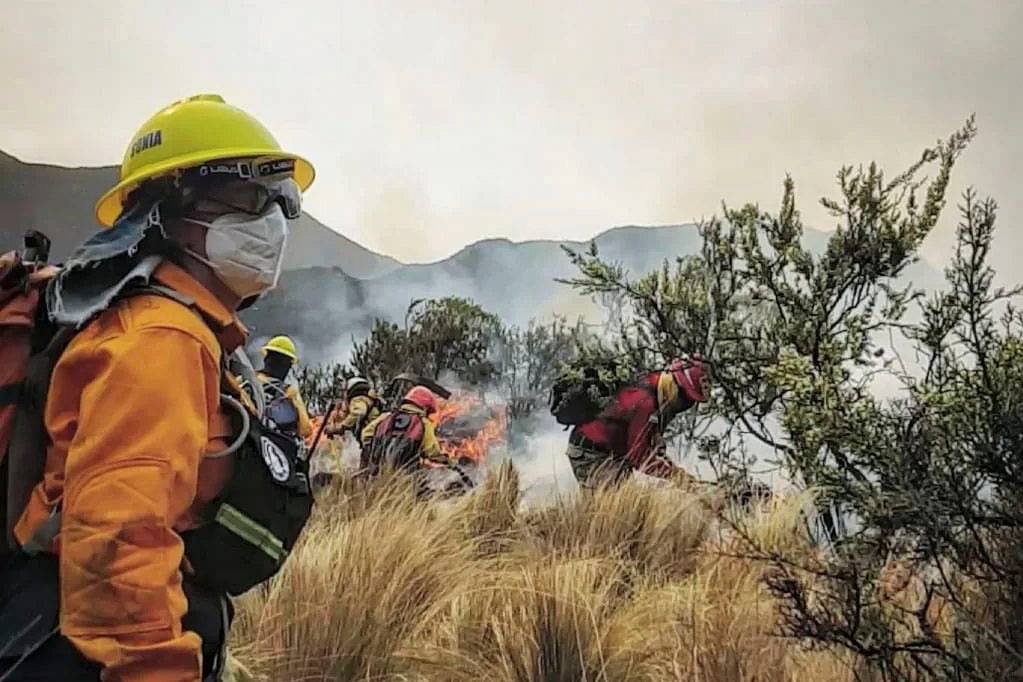 Alivio en Córdoba: controlaron el incendio en Valle de Punilla, pero se mantiene el alerta de riesgo extremo