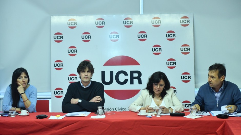 Radicales anuncian un acuerdo interno para rechazar el veto de Milei a universidades