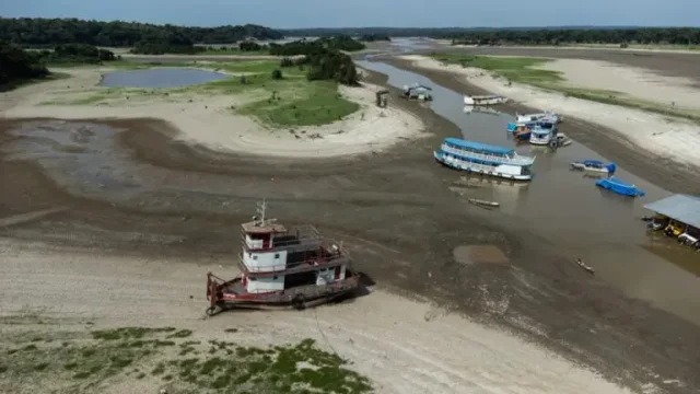 Se está secando el río Amazonas: advierten sobre el cambio climático