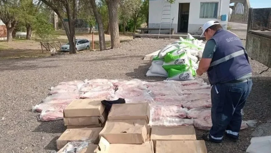 En operativos confiscaron 630 kilos de carne