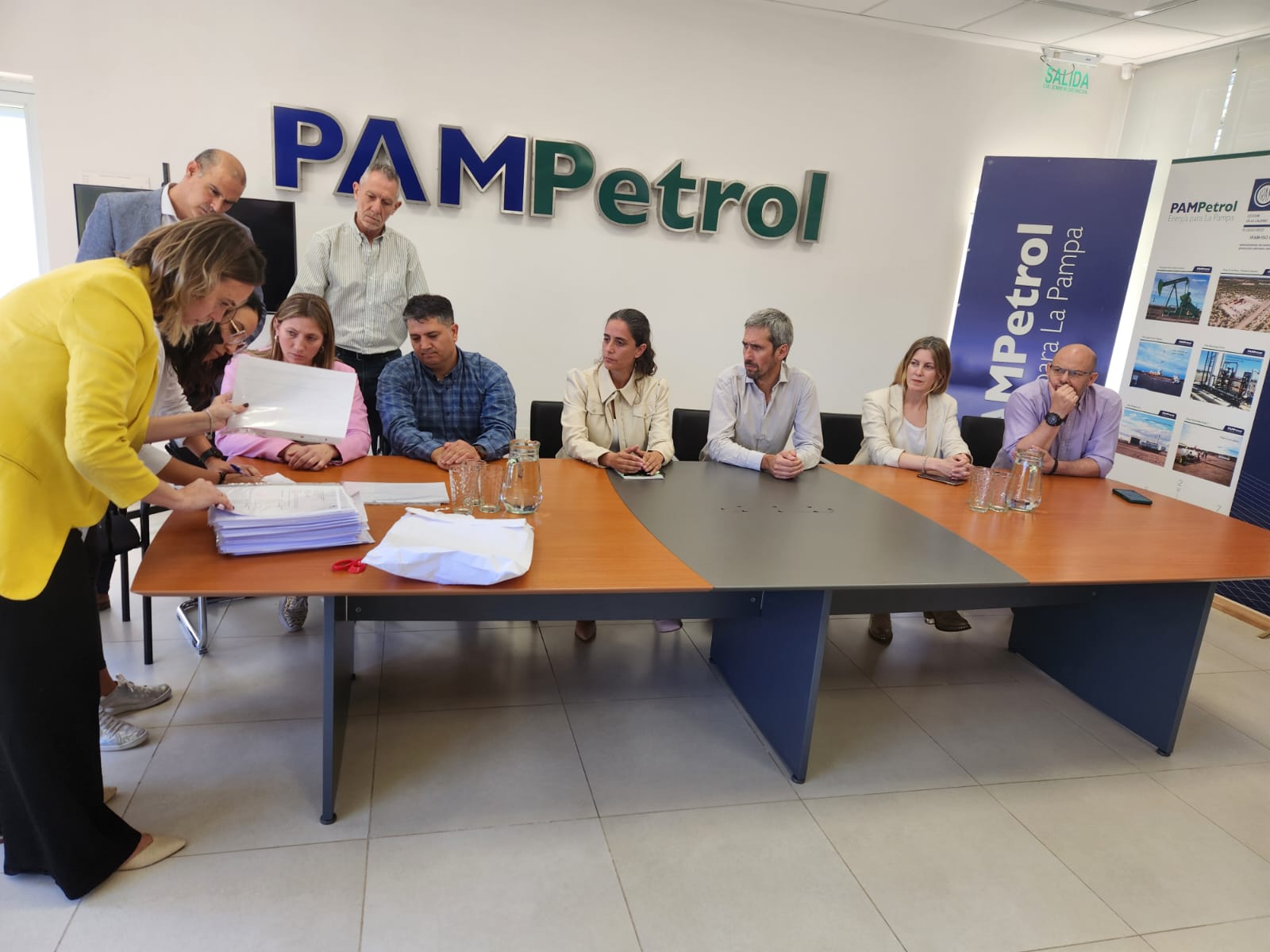 Empresa china busca asociarse con PAMPetrol para construir el Parque Solar de Pico