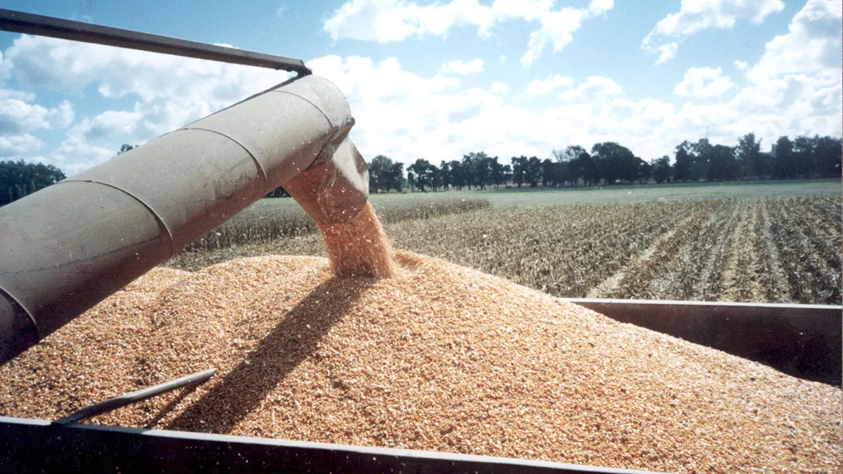Las exportaciones del agro crecieron un 25% en 2024 y alcanzaron un superávit de US$ 39.000 millones