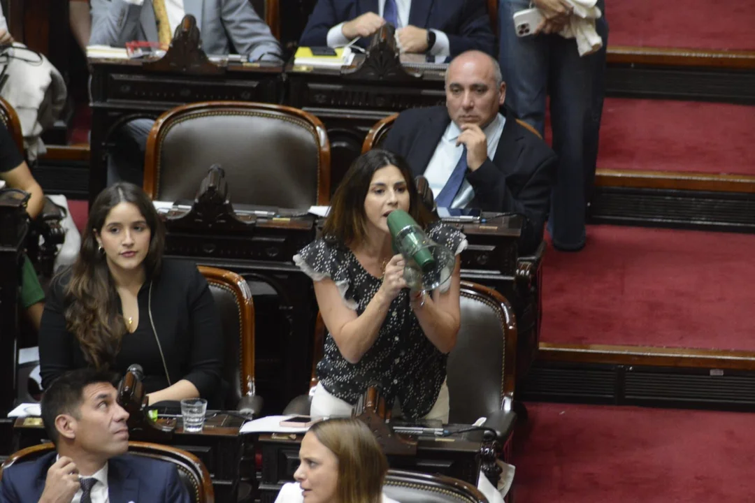 A grito limpio, tratan en  Diputados el DNU del acuerdo con el FMI