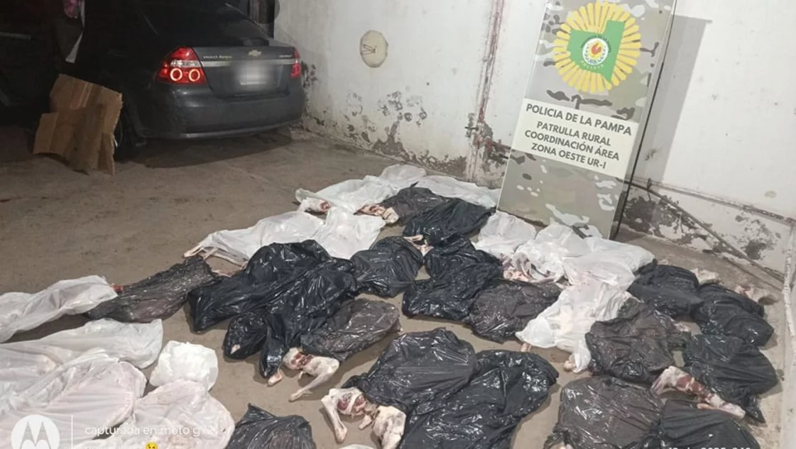 Volvía a Toay desde Algarrobo en el auto con 34 chivos faenados