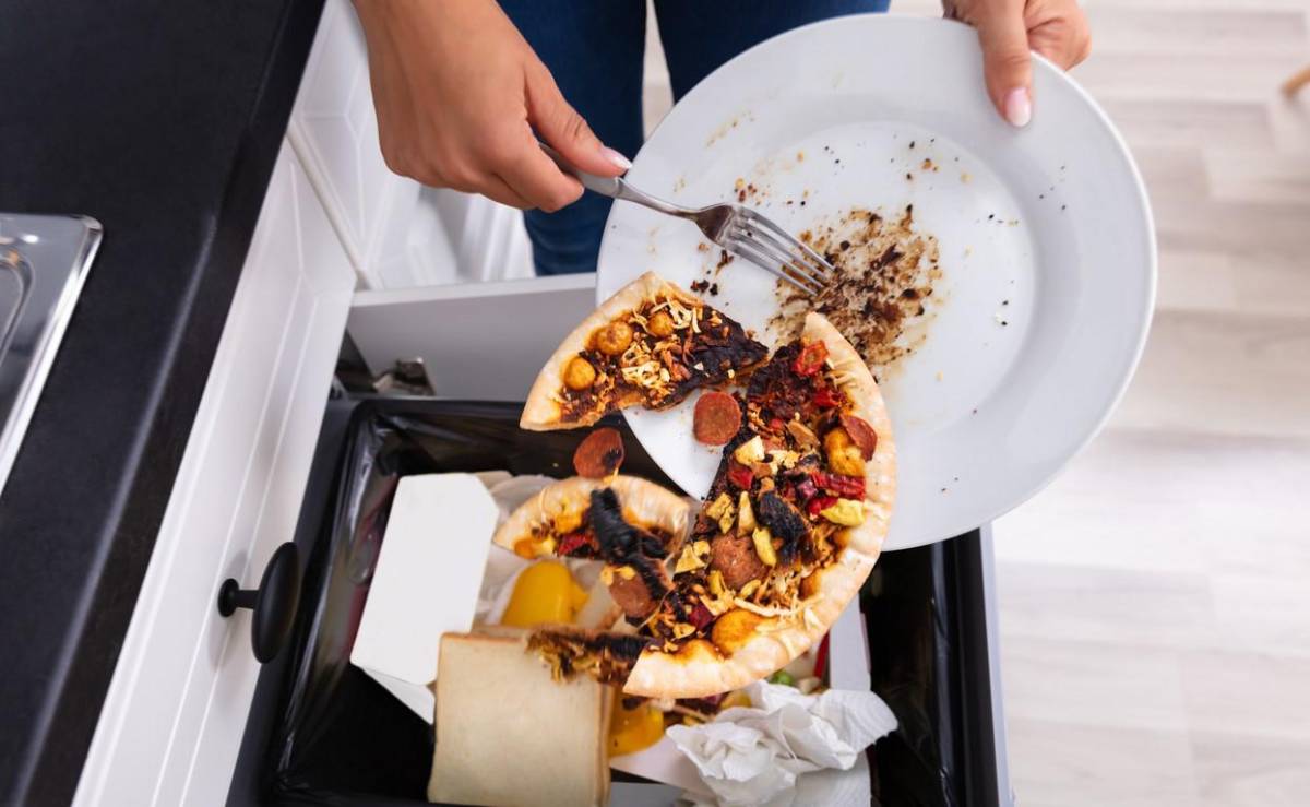 Se desechan más de 16 toneladas de alimentos por año: quieren una ley para frenar el desperdicio de comida