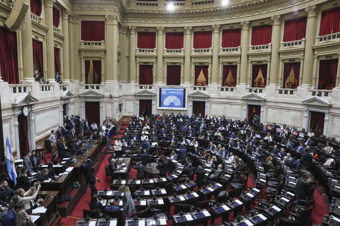 Diputados:  la oposición rechazó el veto a la ley de Emergencia en Discapacidad