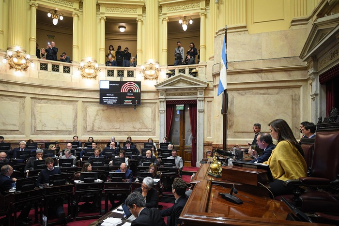 El Senado rechazó los decretos del Gobierno que desregulaban organismos públicos