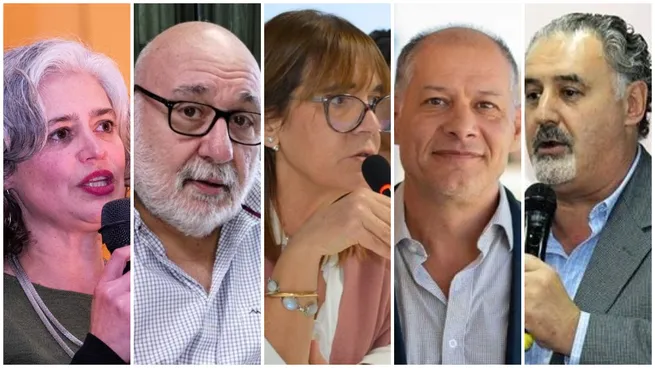 Además de Ferrán, quiénes son los universitarios que buscarán llegar al congreso
