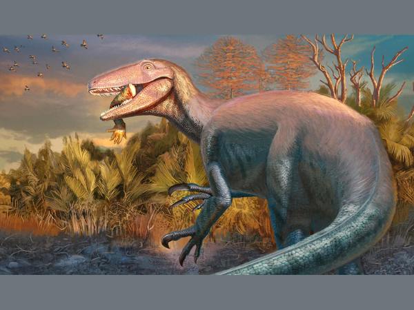 Hallan a un gran dinosaurio en la Patagonia: vivió hace 70 millones de años y comía cocodrilos