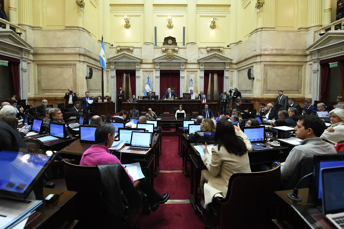 El Senado rechazó el veto en Discapacidad y la ley deberá ser promulgada