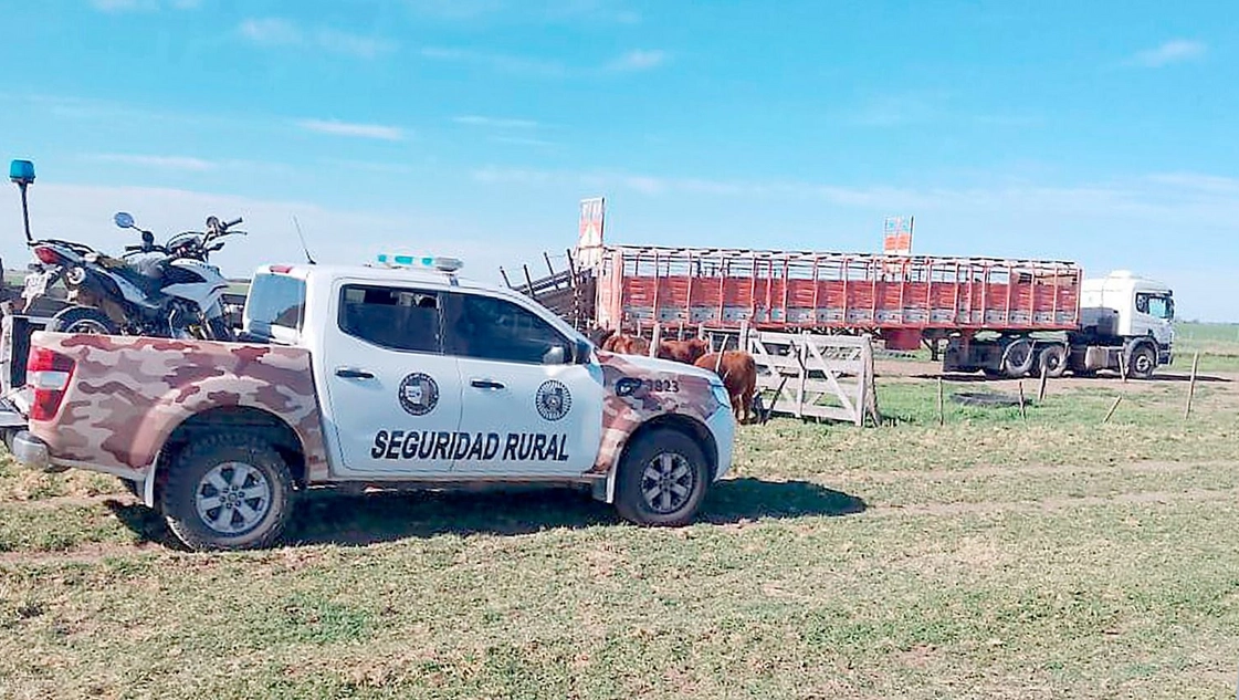 Recuperaron 27 terneras que habían robado en Anzoátegui