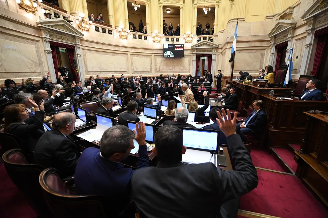 El Senado rechazó el veto de Milei a la Emergencia Pediátrica y de Financiamiento Universitario