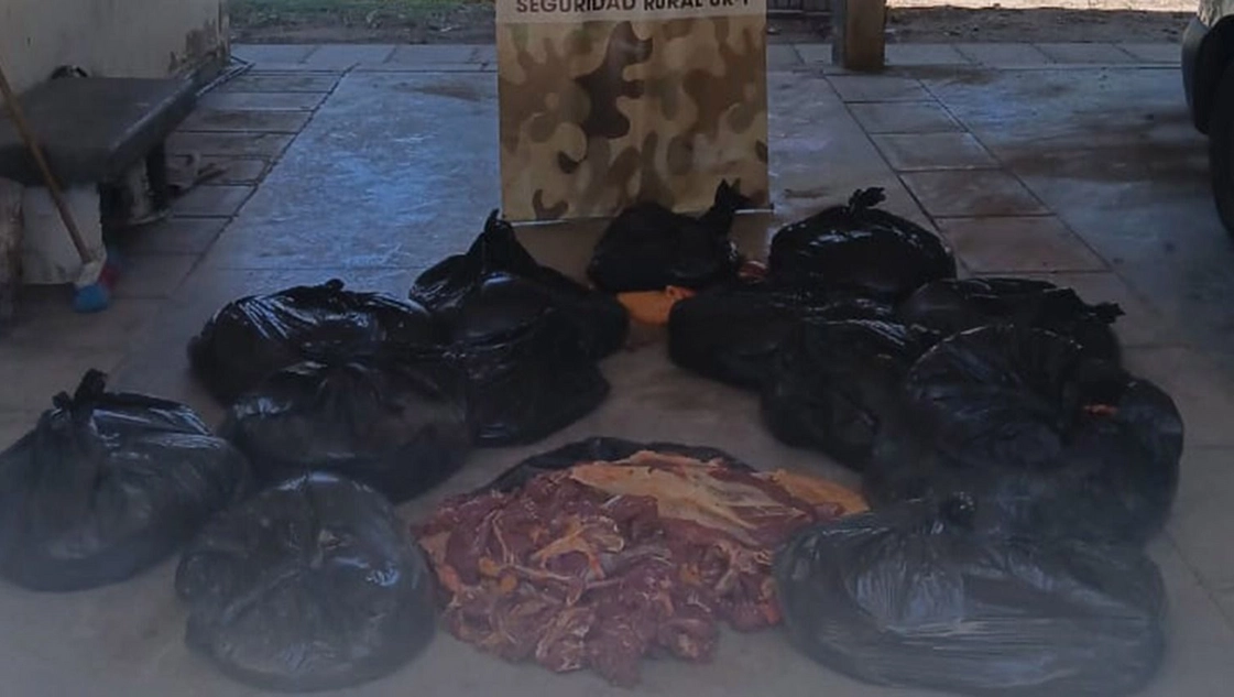 Secuestraron 600 kilos de carne de caballo: investigan si era para carritos o comercios de Santa Rosa