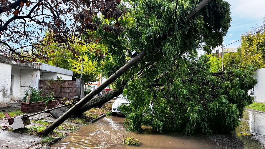 Una tormenta destructiva azotó con furia a Santa Rosa
