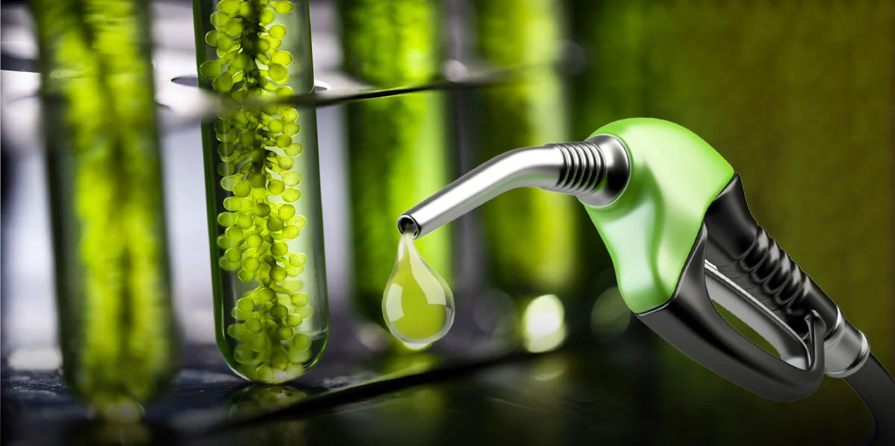 Para amortiguar el precio del petróleo, el Gobierno habilitó un mayor contenido de bioetanol en las naftas