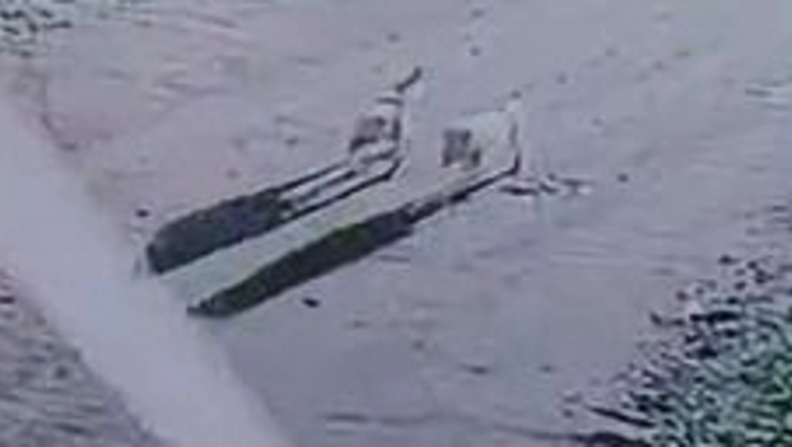 Lamentable: dos perros de caza mataron a un border collie en un barrio de Santa rosa