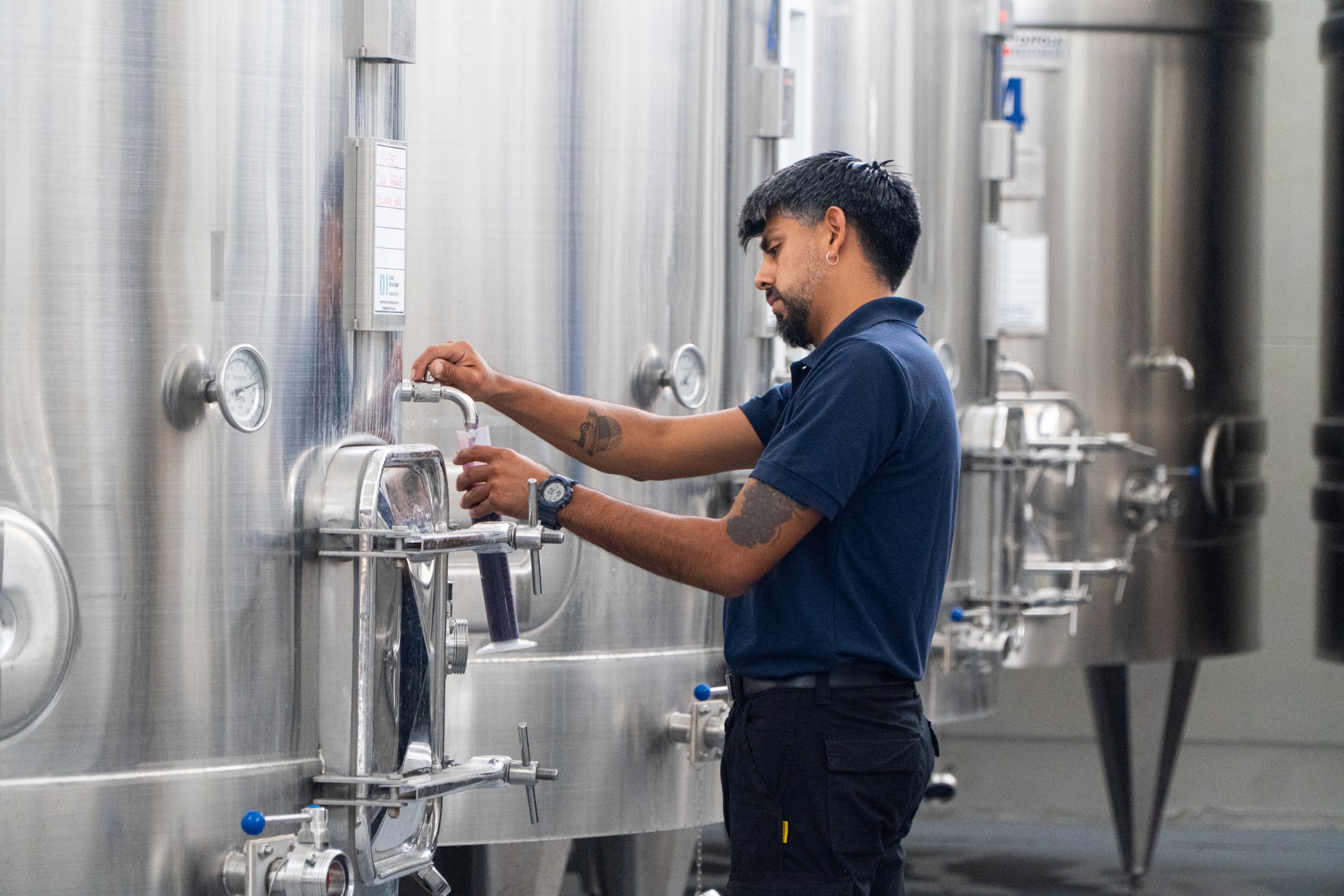 Bodega Casa de Piedra: chardonai, pinot noir y malbec en proceso
