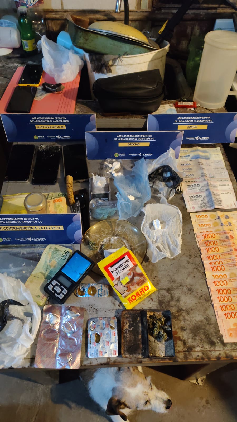 Castex: secuestraron droga, dinero y elementos vinculados a delitos contra la propieda