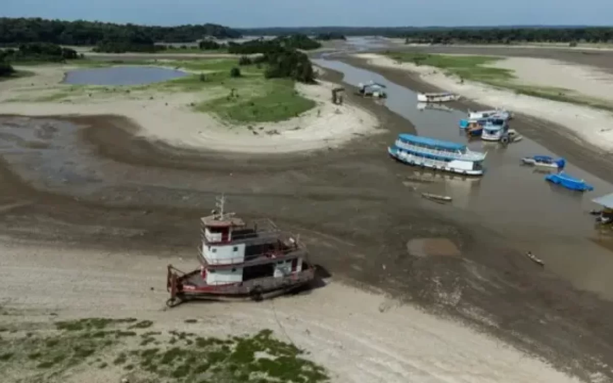 Se está secando el río Amazonas: advierten sobre el cambio climático