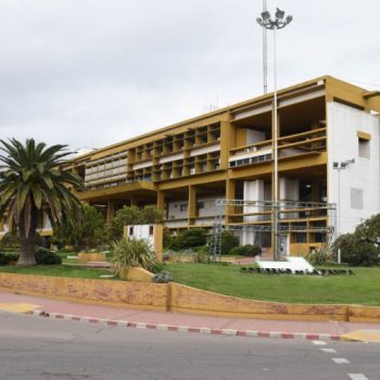 Fuerte multa por transportar leña sin permiso