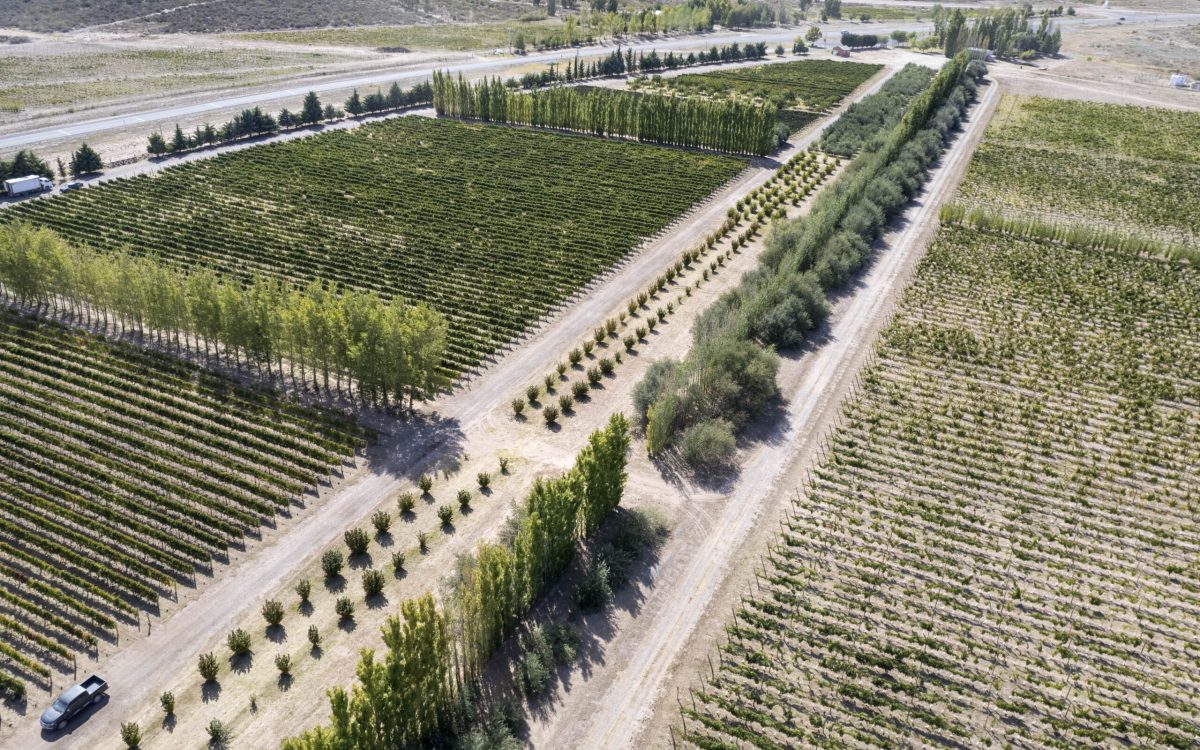 La Pampa amplía el horizonte de producción y sumará 500 hectáreas bajo riego en Casa de Piedra