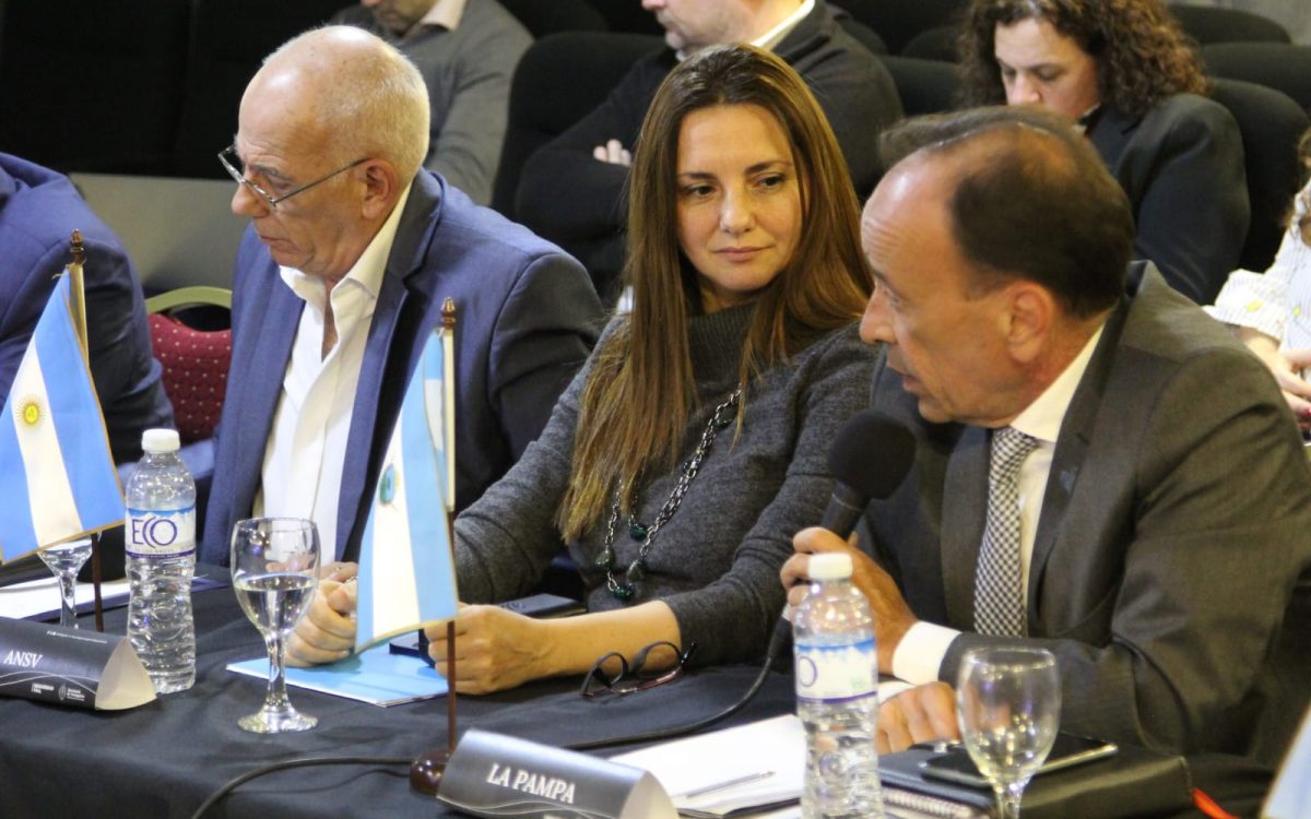 La Pampa asumió la vicepresidencia del Consejo Federal de Seguridad Vial