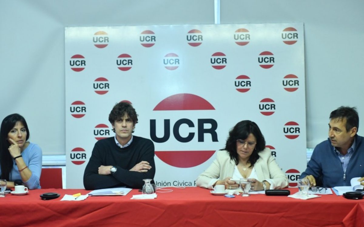 Radicales anuncian un acuerdo interno para rechazar el veto de Milei a universidades