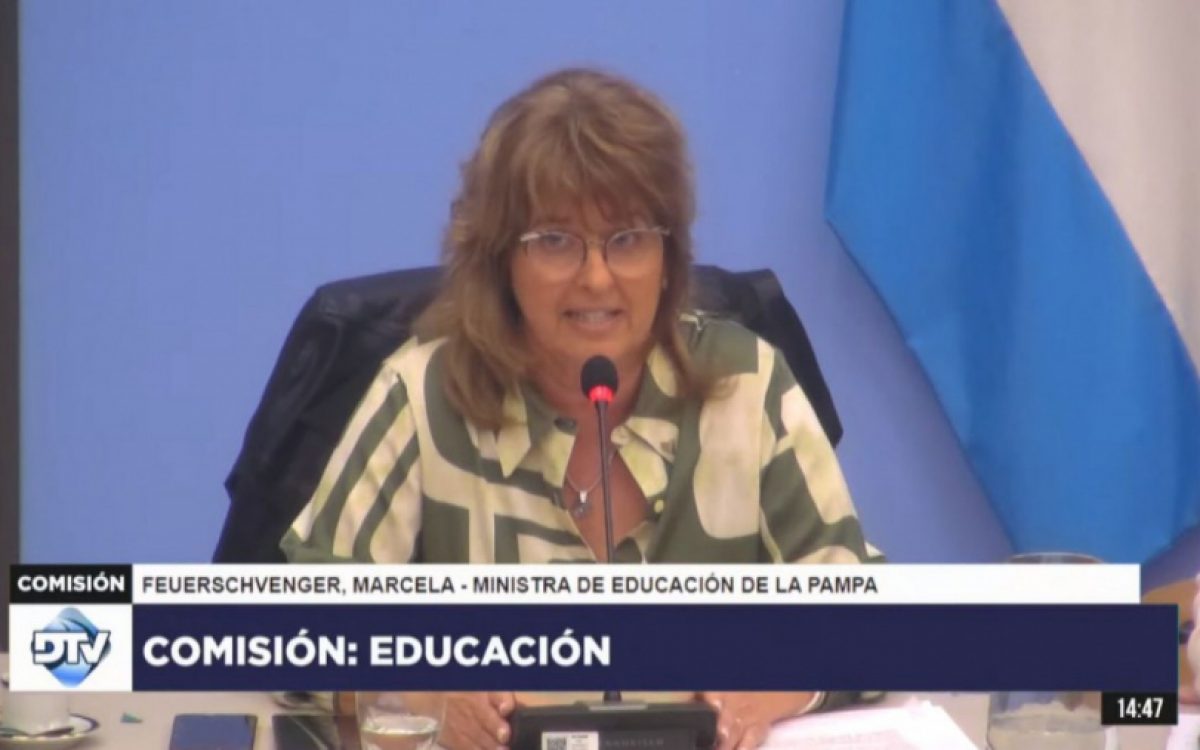 Feuerschvenger en el Congreso de la Nación: “el sistema educativo argentino está sufriendo un cruel desfinanciamiento”