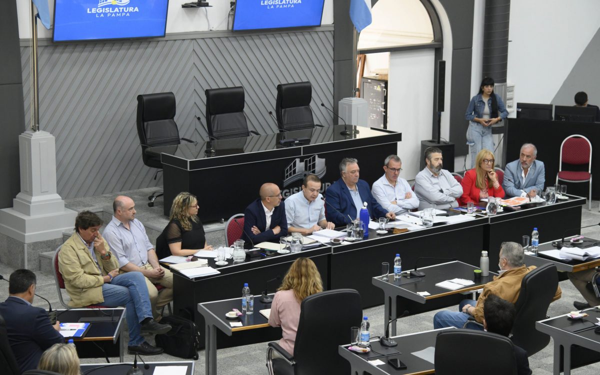 Vanini estuvo en la legislatura y detalló el presupuesto de la Secretaría General