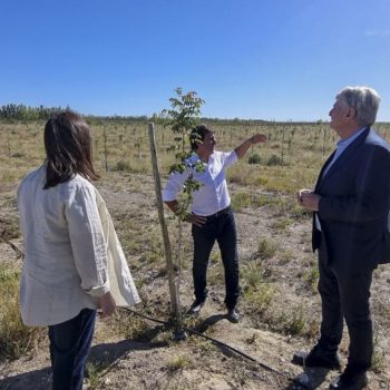 Ziliotto: «vivimos la explosión productiva de Casa de Piedra”