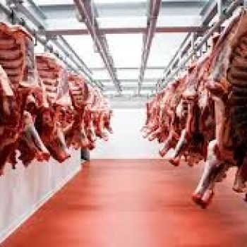 Estados Unidos cuadriplicó la cuota de compra de carne vacuna argentina