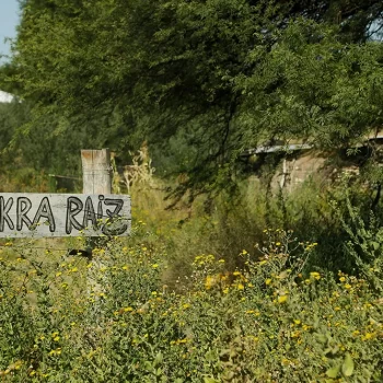 Ratificaron el desalojo de la ecoaldea Chakra Raíz de Toay