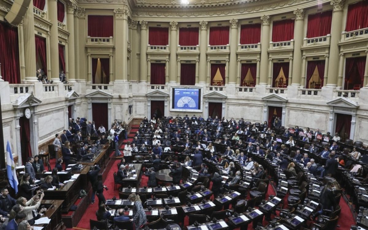 Diputados:  la oposición rechazó el veto a la ley de Emergencia en Discapacidad