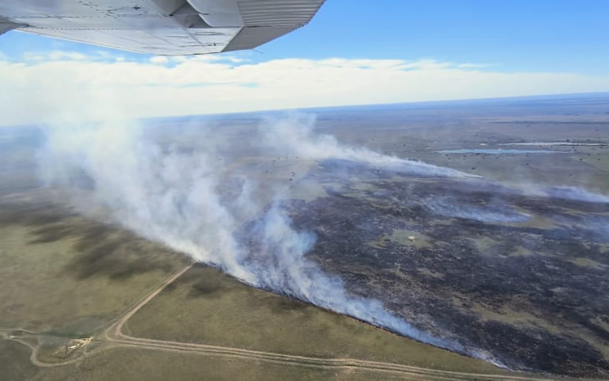 Varios incendios rurales en La Pampa
