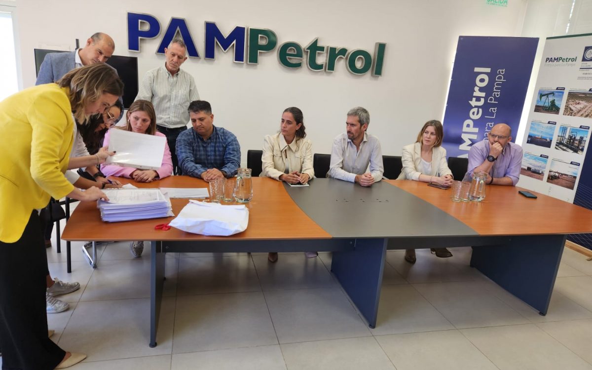 Empresa china busca asociarse con PAMPetrol para construir el Parque Solar de Pico