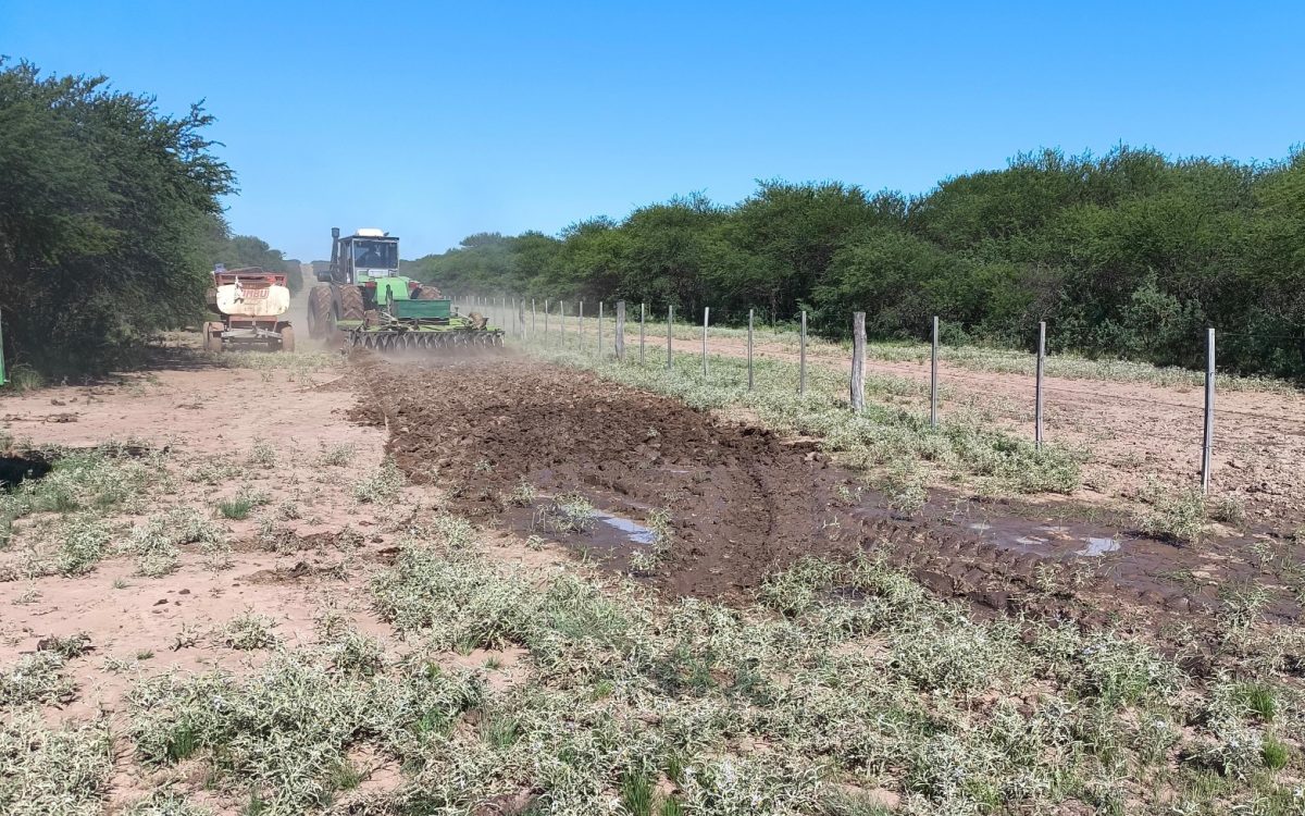 3.400 hectáreas: fortalecen el Plan Integral de Prevención y Lucha contra Incendios